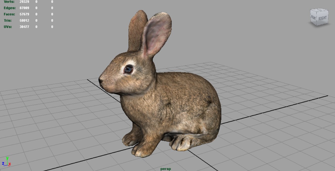 Вибратор-кролик The Rabbit Company The Realistic Rabbit, телесный TRC-012CRM - The Rabbit Company - Вибраторы-кролики - Купить