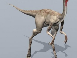 pelecanimimus 3D Model