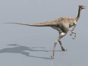 pelecanimimus 3D Model