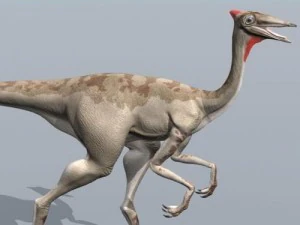 pelecanimimus 3D Model