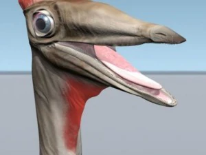 pelecanimimus 3D Model