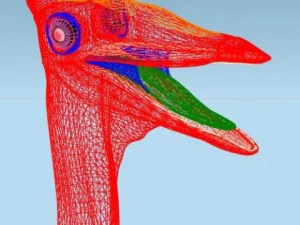 pelecanimimus 3D Model