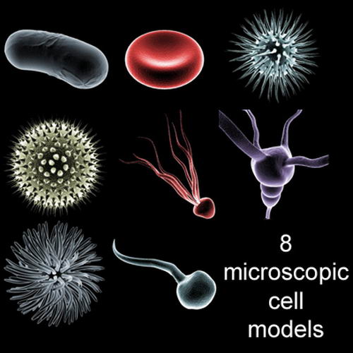 microcell collection Model 3D .c4d .max .obj .3ds .fbx .stl .blend 