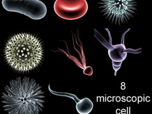 microcell collection 3D-Modell