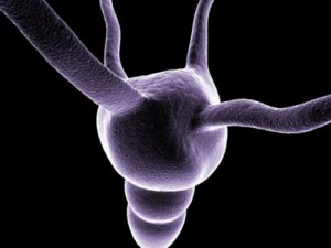 kolekcja mikrokom&oacute;rek Model 3D