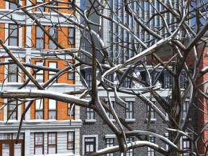 3d street snow Model 3D