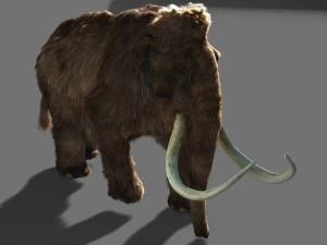 mammoth 3D Model