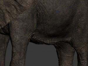 elephant 3D Model