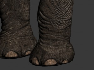 elephant 3D Model