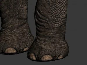 elefante Modello 3D
