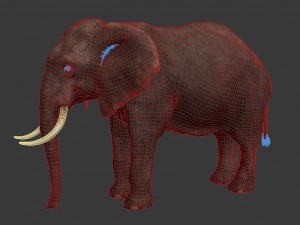 elephant 3D Model