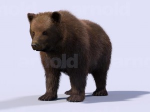 bear-maya 3D मॉडल