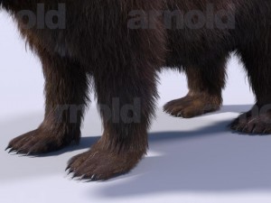 bear-maya 3D मॉडल