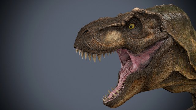 tyrannosaurus rex 3D Модель .c4d .max .obj .3ds .fbx .stl .blend 