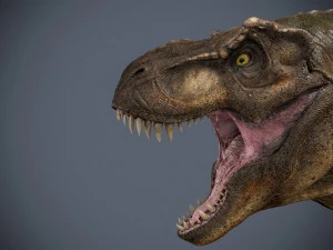 tyrannosaurus rex Model 3D