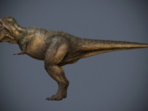tyrannosaurus rex 3D Модель