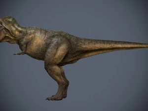 tyrannosaurus rex 3D Model