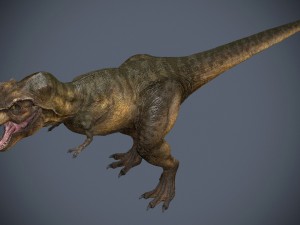 tyrannosaurus rex 3D Модель