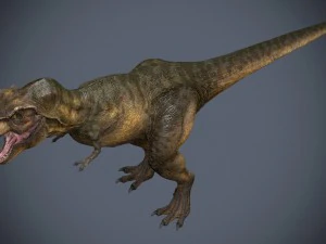 tyrannosaurus rex 3D Model