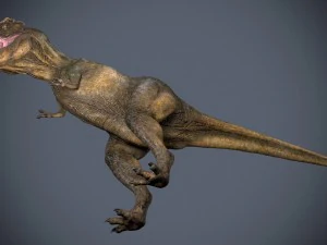 tyrannosaurus rex 3D Model