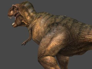 tyrannosaurus rex 3D Model