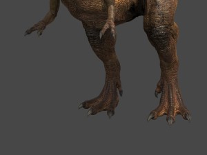 tyrannosaurus rex 3D Модель