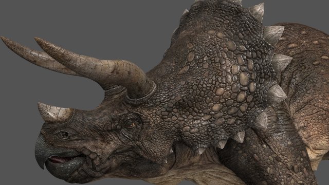 triceratops 3Dモデル .c4d .max .obj .3ds .fbx .stl .blend 