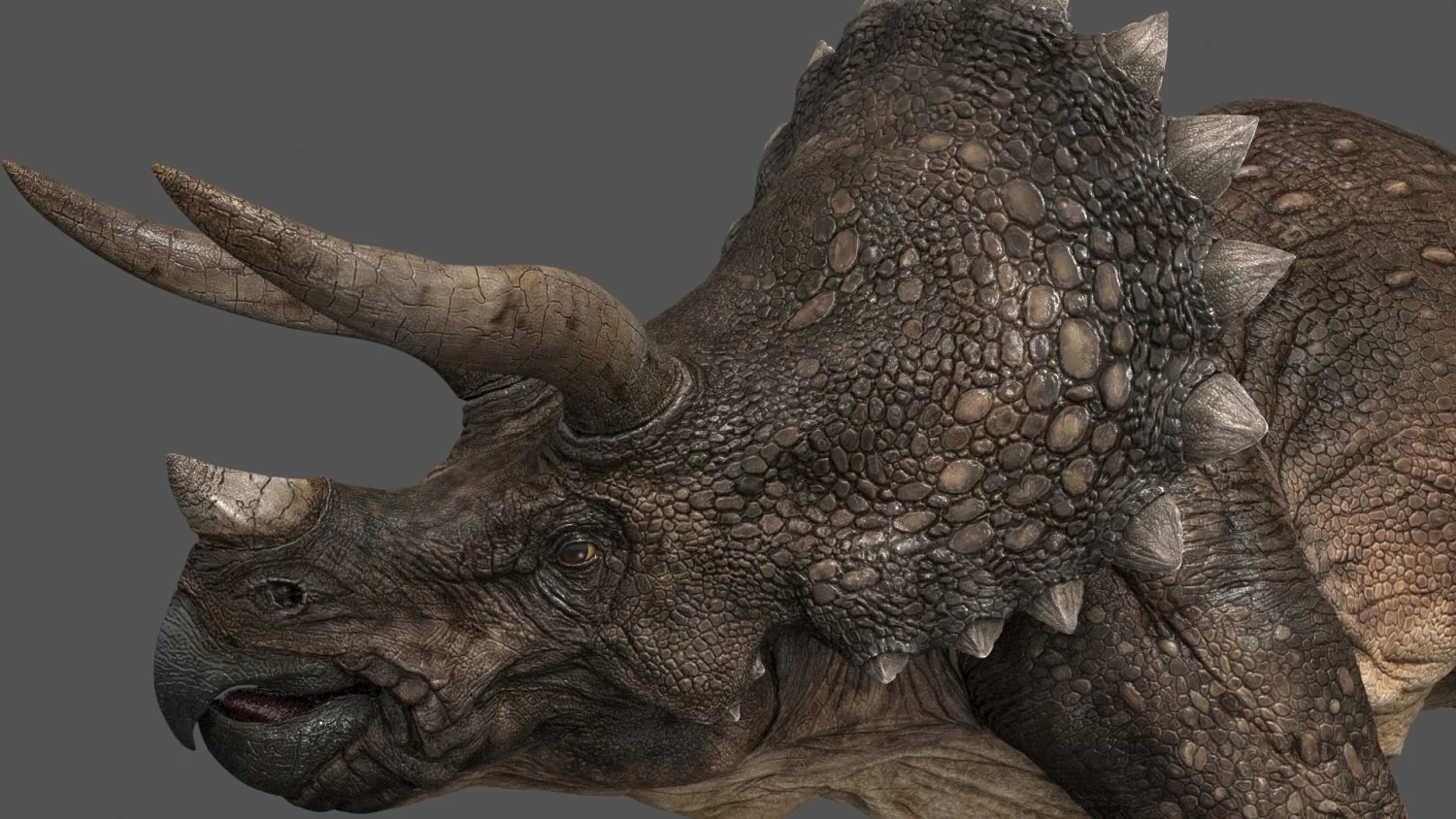triceratops 3D Model .c4d .max .obj .3ds .fbx .stl .blend 