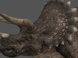 triceratops 3D Model