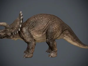 triceratops 3D Model
