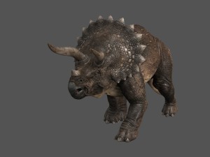 triceratops 3Dモデル