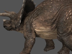 triceratops 3Dモデル