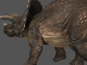 triceratops 3D Model