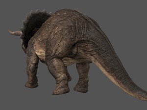 triceratops 3Dモデル
