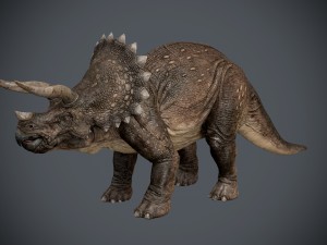 triceratops 3Dモデル
