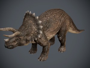 triceratops 3Dモデル