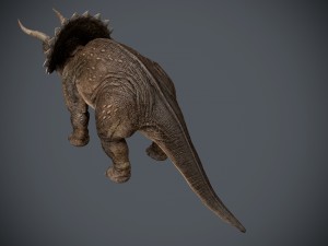 triceratops 3Dモデル