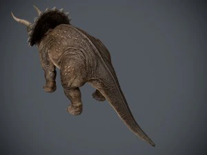 triceratops 3D Model