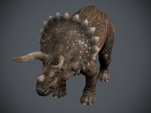 triceratops 3Dモデル
