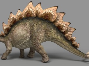 stegosaurus 3D Model
