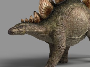 stegosaurus 3D Model