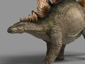 stegosaurus 3D Model