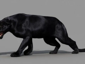 пантера 3D Модель