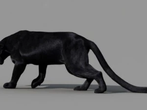 пантера 3D Модель