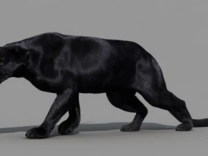 пантера 3D Модель