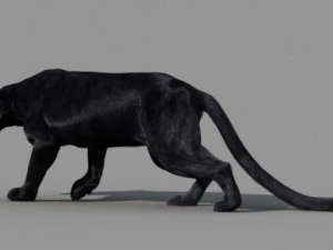 пантера 3D Модель