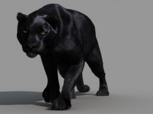 panther 3D Модель