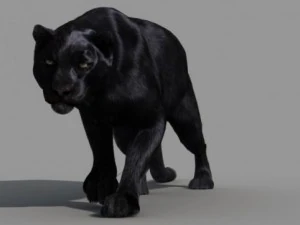 пантера 3D Модель
