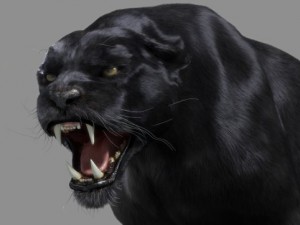 panther 3D Модель