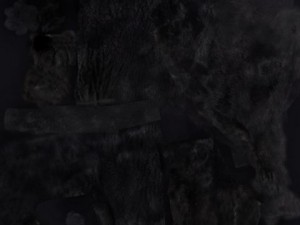 panther 3D Модель